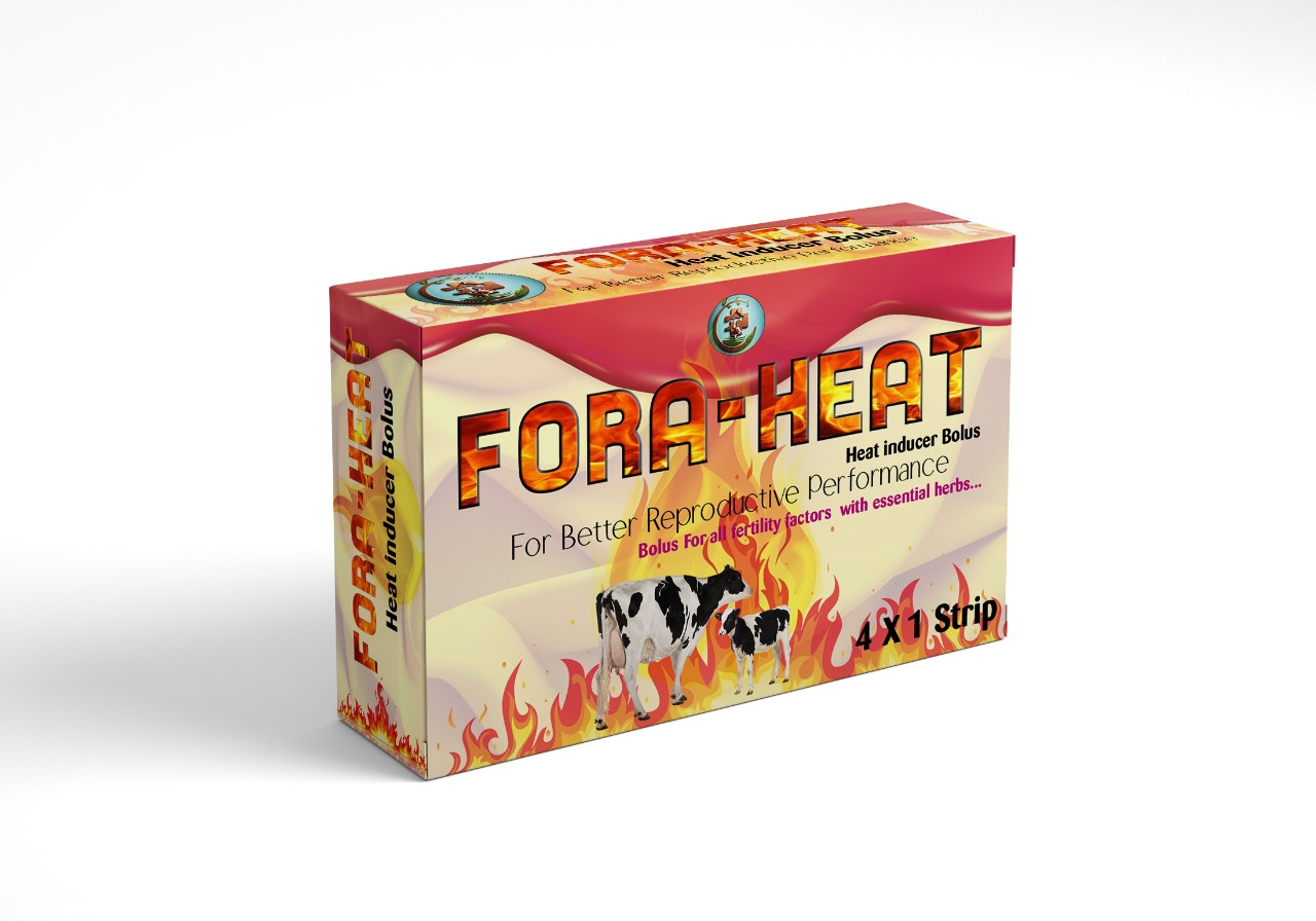 FORA-HEAT Bolus