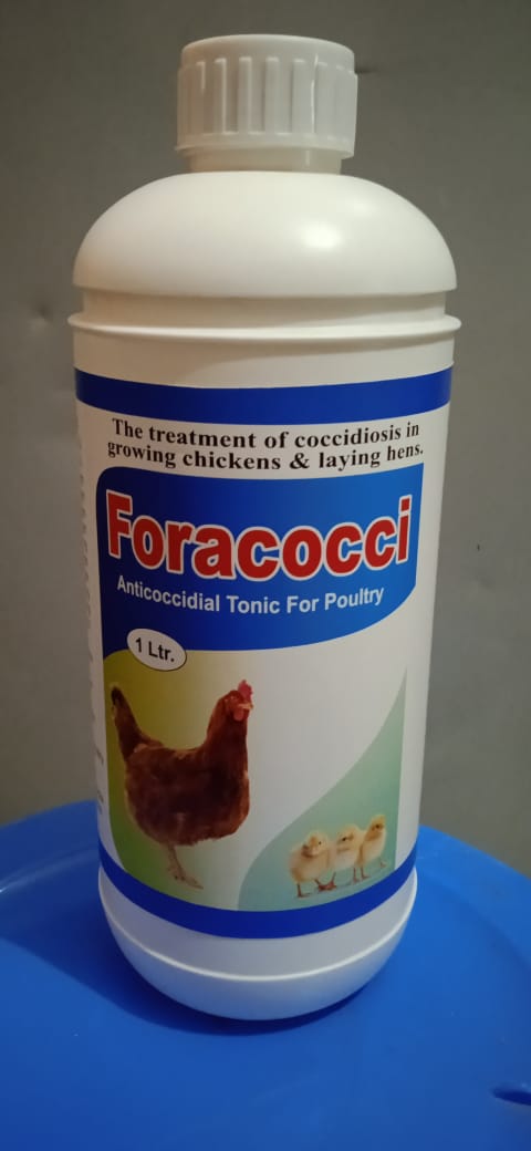 Foracocci