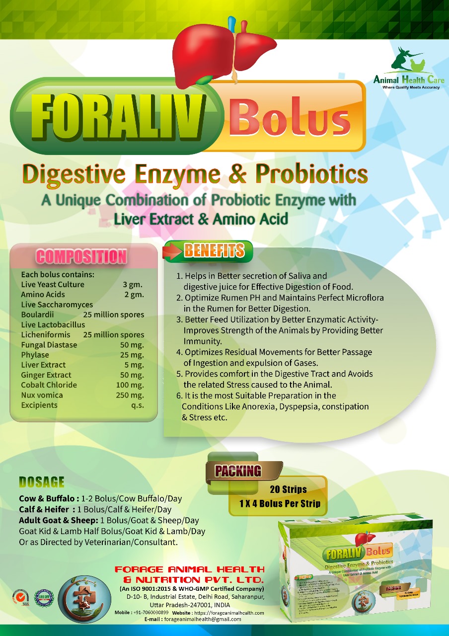 FORALIV Bolus